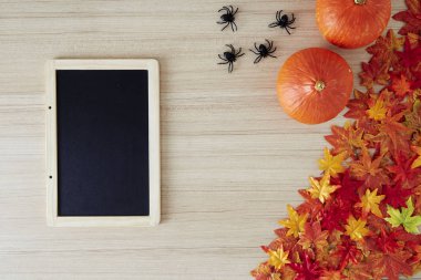 boş alan ve sonbahar zamanı sonbahar arka plan