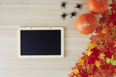 boş alan ve sonbahar zamanı sonbahar arka plan