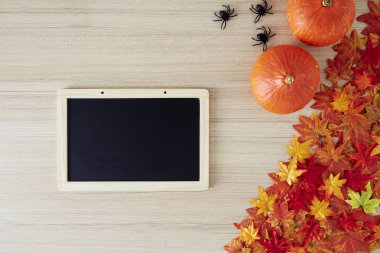 boş alan ve sonbahar zamanı sonbahar arka plan