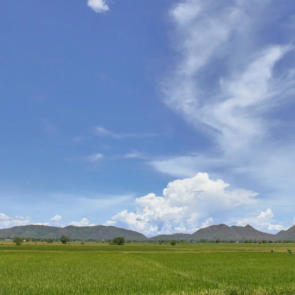 タイの山の牧草地と青空を望む緑の田んぼの風景 — ストック写真