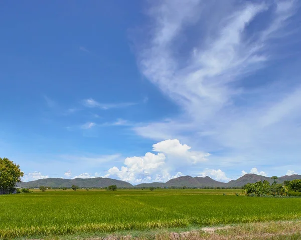 タイの山の牧草地と青空を望む緑の田んぼの風景 — ストック写真