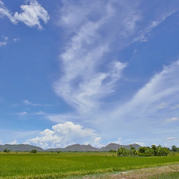タイの山の牧草地と青空を望む緑の田んぼの風景 — ストック写真