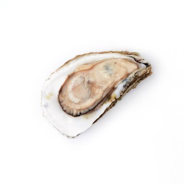 Beyaz arka planda yarım kabuklu istiridye, çiğ deniz ürünleri.