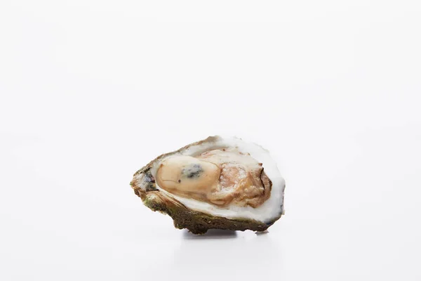 Στρείδια Στο Μισό Κέλυφος Λευκό Φόντο Raw Seafood — Φωτογραφία Αρχείου
