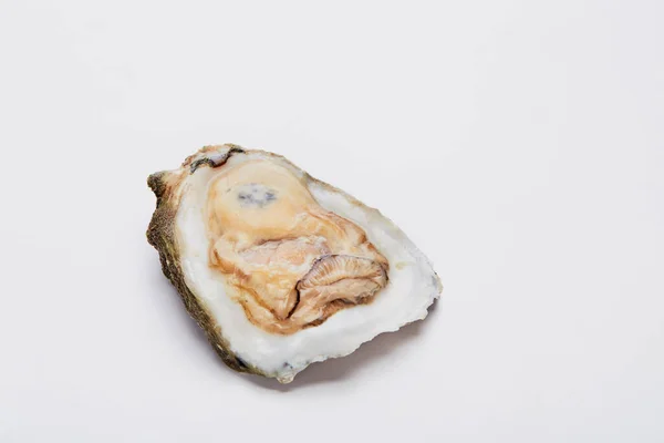 Στρείδια Στο Μισό Κέλυφος Λευκό Φόντο Raw Seafood — Φωτογραφία Αρχείου