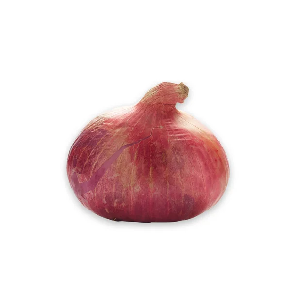 Fresh Red Onion Isolated White Background — Stock Photo, Image