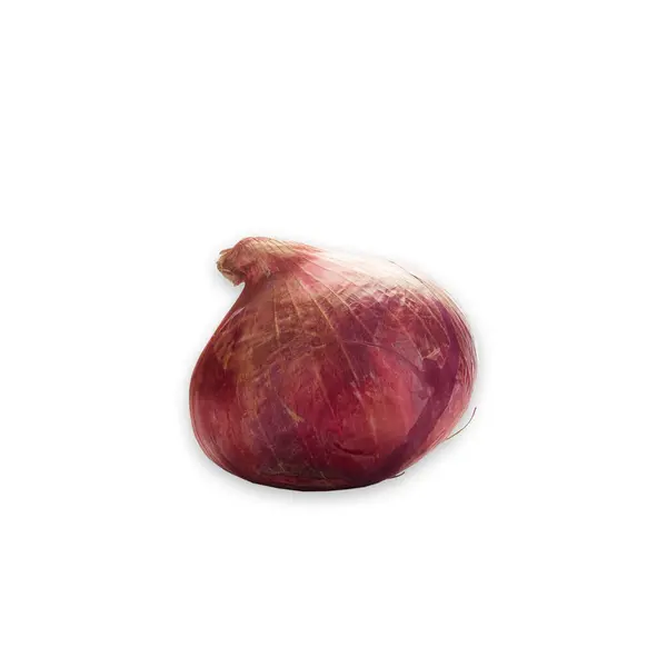Cebolla Roja Fresca Aislada Sobre Fondo Blanco —  Fotos de Stock