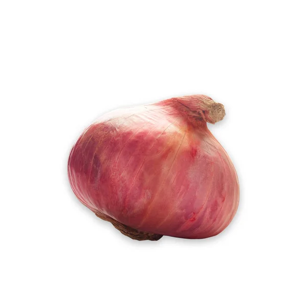 Fresh Red Onion Isolated White Background — Stock Photo, Image