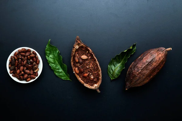 Dry cocoa pod with cocoa beans and and cocoa powder black texture background, Flat lay, space