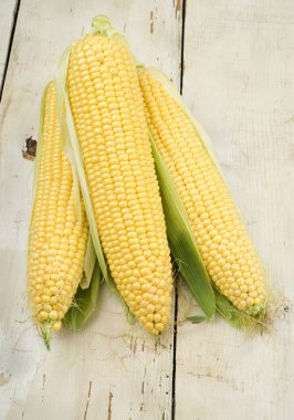 Mısır koçanları Whit yeşil yaprakları