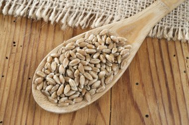 Tahta kaşıkta buğday taneleri