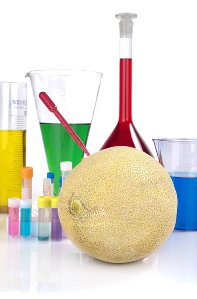 Genetisch Veränderter Organismus Melone Und Laborgläser Auf Weißem Hintergrund — Stockfoto