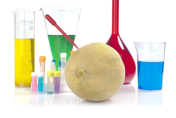 Organisme Génétiquement Modifié Melon Verrerie Laboratoire Sur Fond Blanc — Photo