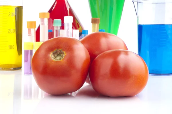 Organisme Génétiquement Modifié Tomates Mûres Verrerie Laboratoire — Photo