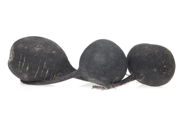 Black Radish Turnip Isolated White — Stock Photo, Image