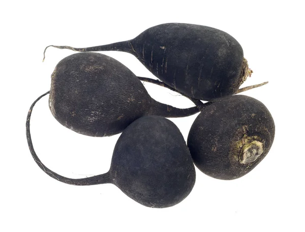 Black Radish Turnip Isolated White — Stock Photo, Image
