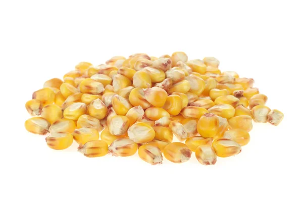 Maize Grains White Background — Stock Photo, Image