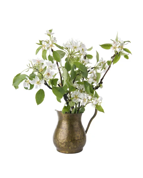Frühlingsblühende Birnenzweige Der Vase — Stockfoto