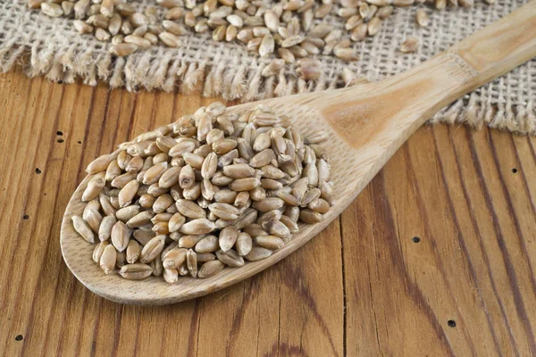 Wheat Grains Wooden Spoon — Stock Photo, Image