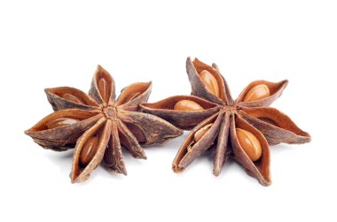 yıldız anasonu beyaz arkaplanda izole edildi