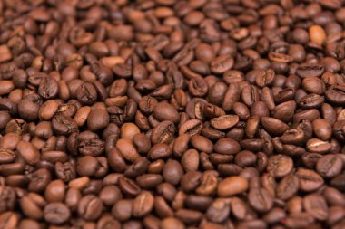 Renkli bir arka plan üzerinde kahve çekirdekleri