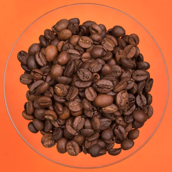 Koffiebonen Een Gekleurde Achtergrond — Stockfoto