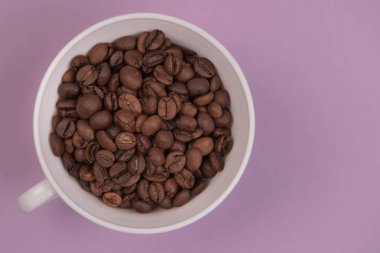 kahve tohumlar renkli bir arka plan üzerinde