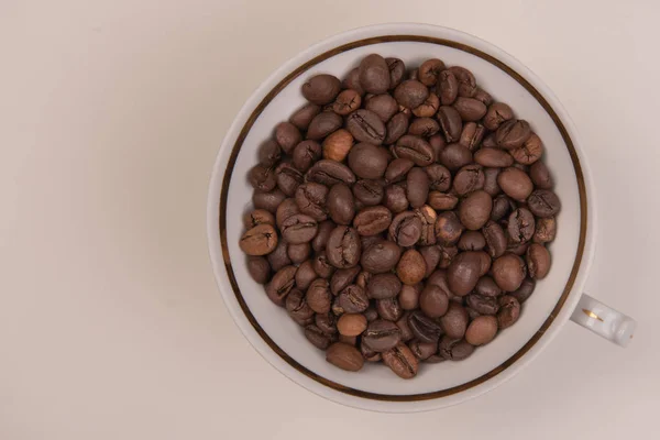 Coffee Seeds Colored Background — Stock Photo, Image