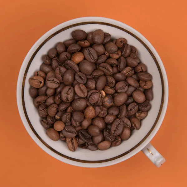 Kaffe Frön Färgad Bakgrund — Stockfoto