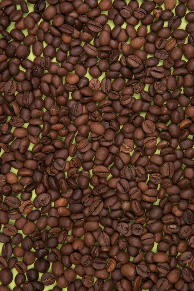 Kahve Tohumlar Renkli Bir Arka Plan Üzerinde — Stok fotoğraf