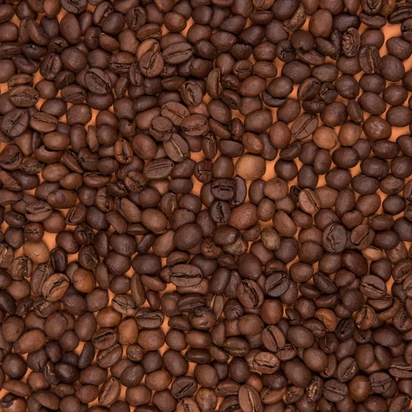 Kaffe Frön Färgad Bakgrund — Stockfoto