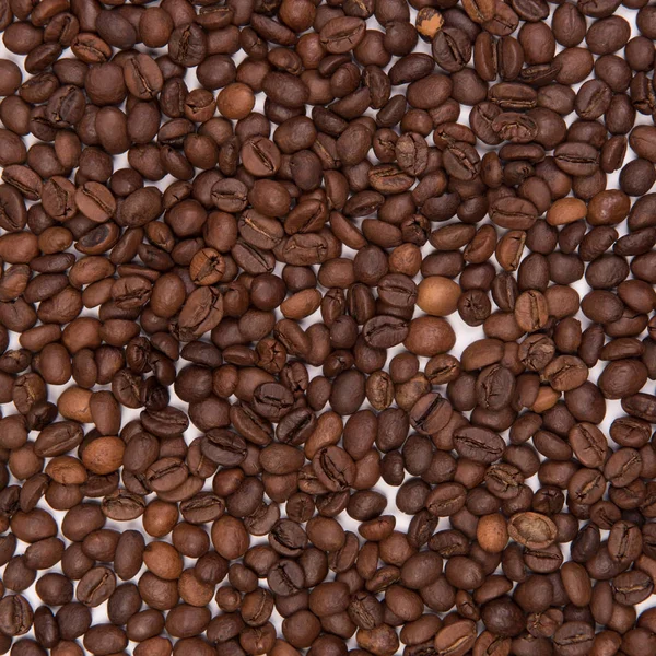 Kaffe Frön Färgad Bakgrund — Stockfoto