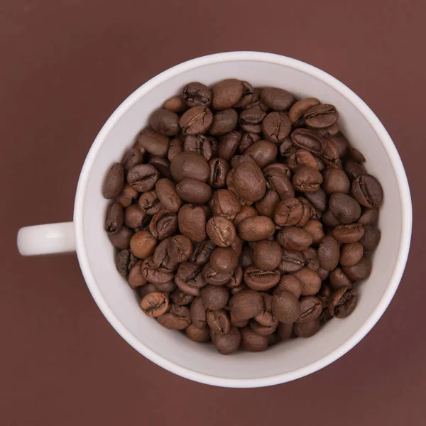 Kaffe Frön Färgad Bakgrund — Stockfoto