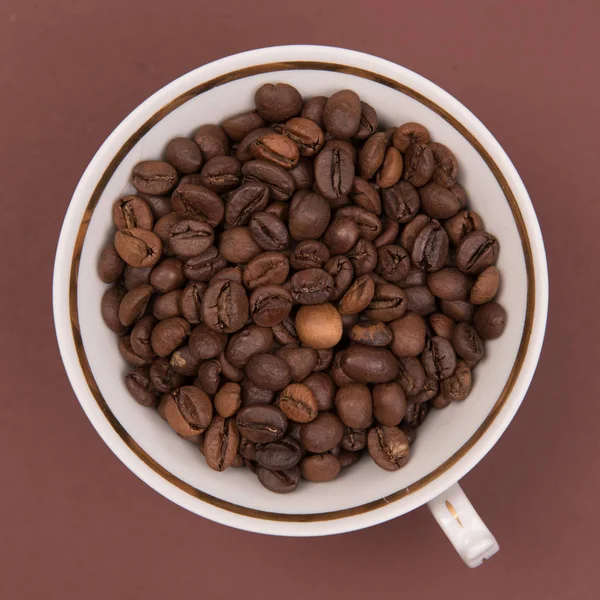 Kaffe Frön Färgad Bakgrund — Stockfoto