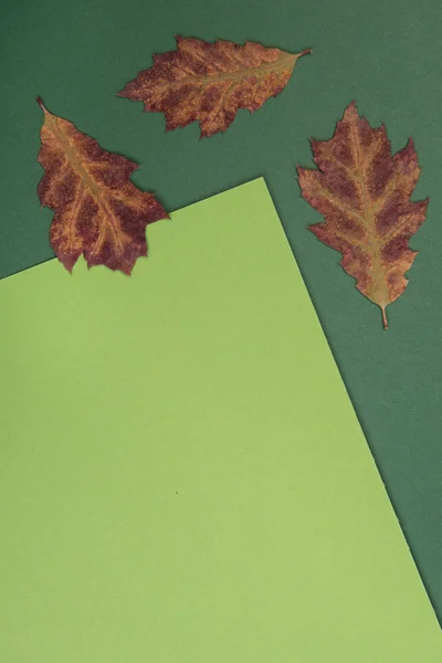 秋のカラフルな背景のテキストと — ストック写真