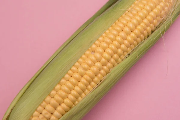 Corn Colored Background — Stock Photo, Image