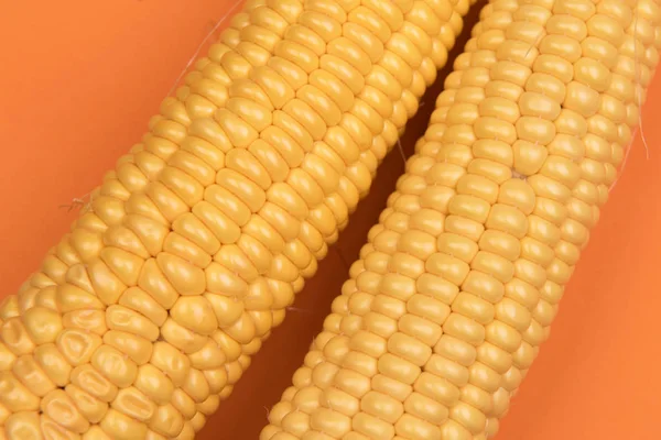 Kukuřice Barevném Pozadí — Stock fotografie