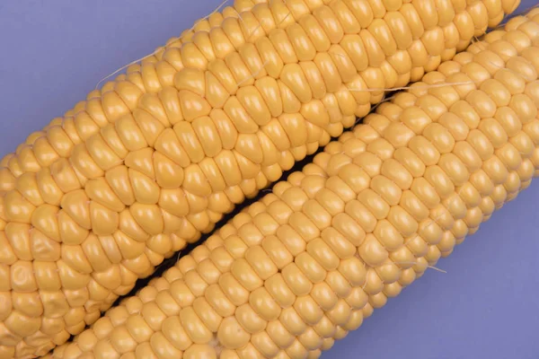 彩色背景下的玉米 — 图库照片