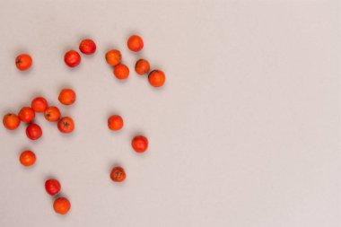 Ntural elemanları ile sonbahar renkli arka plan