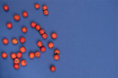 Ntural elemanları ile sonbahar renkli arka plan