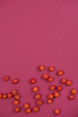 Ntural elemanları ile sonbahar renkli arka plan