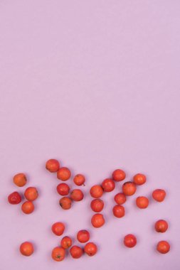 Ntural elemanları ile sonbahar renkli arka plan