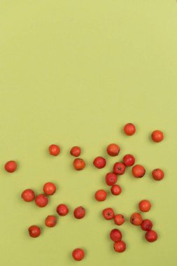 Ntural elemanları ile sonbahar renkli arka plan