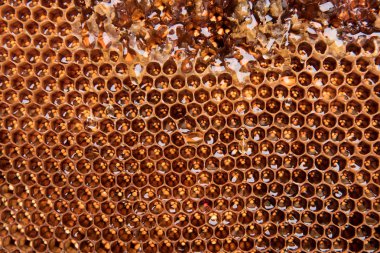 Karanlık balmumu bal ile dilim