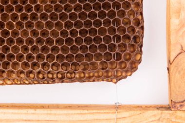 Karanlık balmumu bal ile dilim