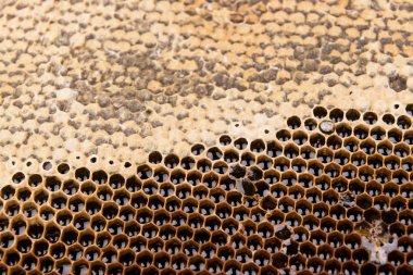 Karanlık balmumu bal ile dilim