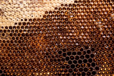 Karanlık balmumu bal ile dilim