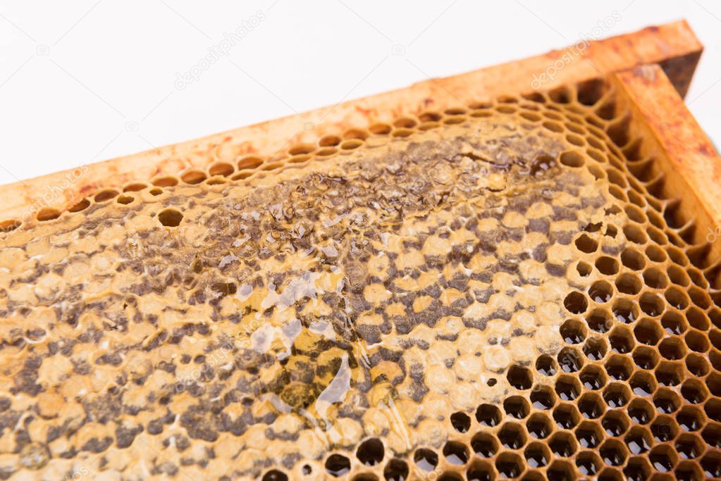 Dark slices of wax with honey