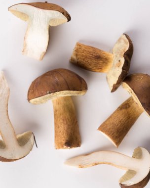 Sonbahar defne bolete beyaz bir arka plan üzerinde