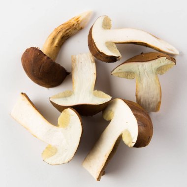 Sonbahar defne bolete beyaz bir arka plan üzerinde